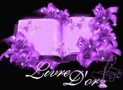 http://www.ledav.net/wp/wp-content/uploads/2011/06/livre-d-or-jpg.jpg